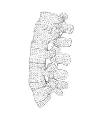 Vector illustration spine diagnostic symbol, design, sign. Vector icon. Line design. Spine bones and structure. Medicine and anatomy. Anatomical wireframe structure of man. Concept illustration..