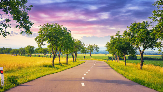 as the sun sets, the road leads through a beautiful countryside. journey continues promising a beautiful scene at every turn. trees long the path beneath a colorful sky