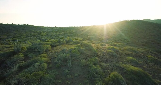 Beautiful view of rural landscapes with rolling hills covered in green vegetation