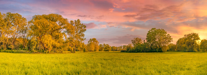 Tranquil nature landscape panorama. Sunset sky clouds closeup fields fresh meadow. Idyllic spring...