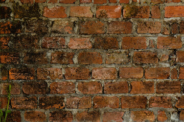 old brick wall for background