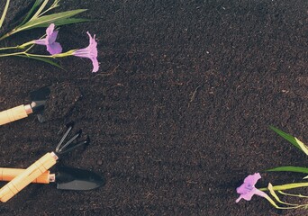 Top view of gardening tools and beautiful flowers on the soil with copy space