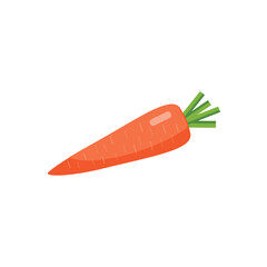 Carrot ilustration Vector isolated on white background