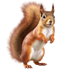Fotobehang squirrel on a transparant background, PNG, Generative Ai © purich