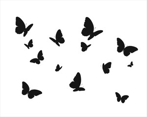 butterfly decorative design