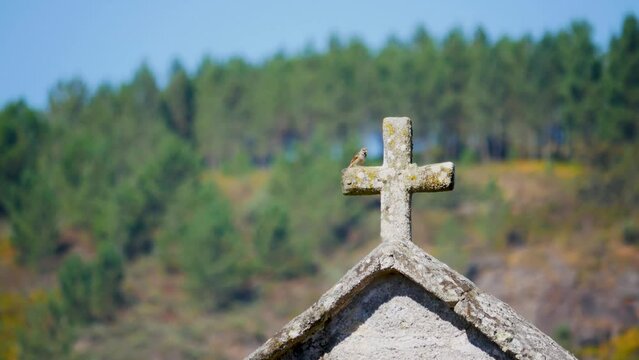 Small bird perching on roof of Santa Comba de Bande, a temple dating from the second half of the eighth century, located in the municipality of Bande in the province of Ourense. galicia, spain