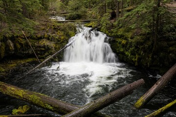 Clearwater Falls in Oregon, in Umpqua National Forest
