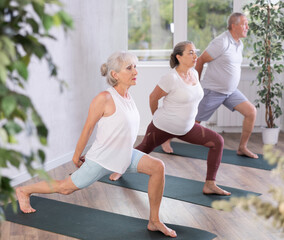 Group of elderly people in sportswear practicing pilates on mat in fitness studio