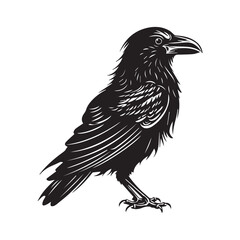 raven silhouette Vector  icon logo