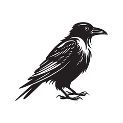Fototapeta premium raven silhouette Vector icon logo