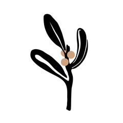 Isolated vector illustration of mistletoe branch on a white background. Evergreen branch logo for designer packaging, medicines, new year.