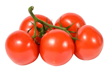 Red ripe tomatoes on a green branch on a white background, healthy vegetable