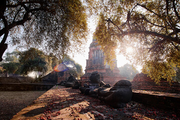 Buddhist Temple in Ayutthaya historical park, Thailand.