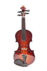 Violin isolate on white background