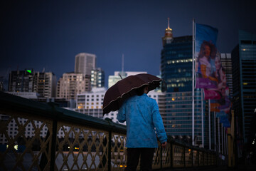 person on the bridge holding umbrella