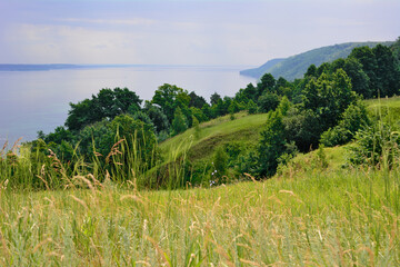 green hill with trees on the edge of the lake, copy space