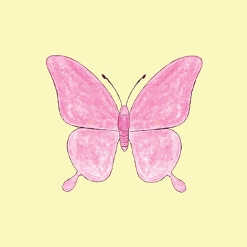 butterfly on white background. vector illustration.