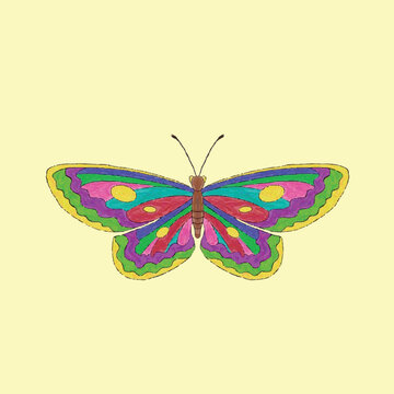 butterfly on white background. vector illustration.
