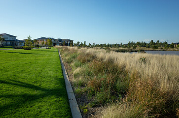 The healthy grass lawn in public park and wetlands with some modern new residential houses in the distance. Concept of Australian new housing neighbourhood estate. Melbourne VIC Australia.