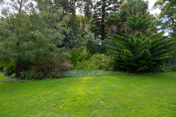 View of green grass lawn in a formal garden with various trees and flower beds. Background texture...