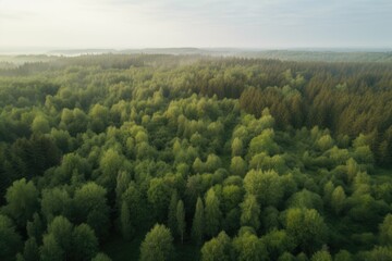 Obraz premium aeriel view of forest, with drone flying through the trees, created with generative ai