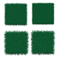 Grass Vector 