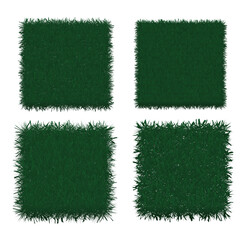 Grass Vector 