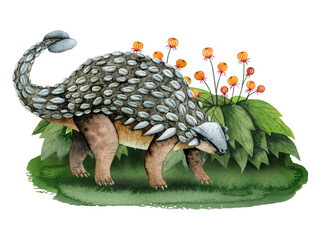 Ankylosaurus dinosaur on green grass with fantasy bushes with flowers landscape watercolor illustration isolated on white background. Hand drawn detailed prehistoric animal clipart from Mesozoic era