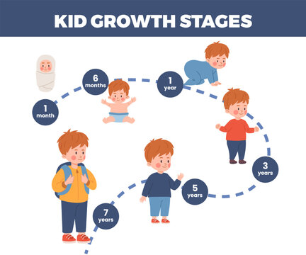 Kid growth stages infographic, flat vector illustration isolated on white background.