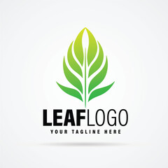 Leaf Logo Design Minimal Modern Leaf Logo Vector