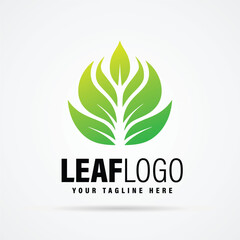 Leaf Logo Design Minimal Modern Leaf Logo Vector
