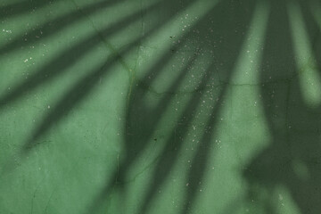 Palm leaf shadow on green concrete wall background, backdrop