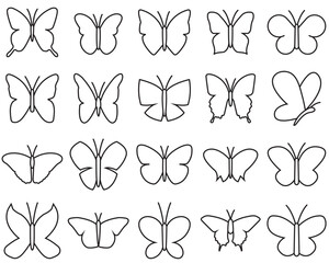 Butterfly line icon, logo vector