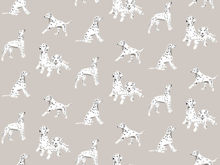 Dalmatian Seamless pattern beige decor, design with funny cartoon white potted dalmatain dogs breed , pet background. Animal puppy design
