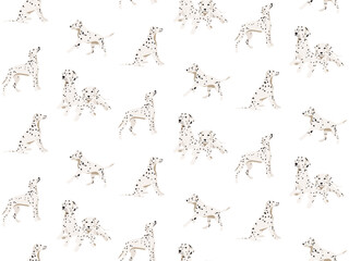 Dalmatian Seamless pattern white spotted fur,  funny cartoon dalmatain dogs breed , pet background. Animal puppy design. Happy pet