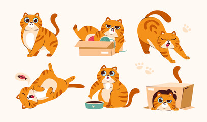 Cute ginger cat is playing, sleeping, eating. A set of funny illustrations of the life of a pet. Playful cat poses. Cartoon vector illustration.