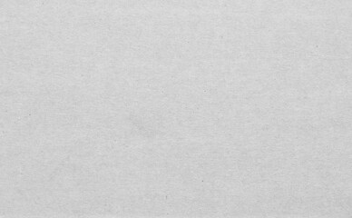 Watercolor paper texture. Paper texture for use as a background