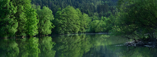 Riverbed in Germany, Neckar. Alluvial forest, reflection of trees in the water - environment nature. 