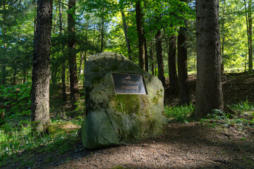 Forest hiking trail summer activity copy space backgrounds, vertical image Morilla reservior Bradford pa 