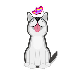 Cute dog with butterfly. Husky happy dog. Vector illustration in cartoon flat style.