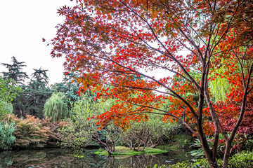 Naklejka premium Autumn in Front Lake Park in china