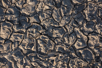 Cracked dry ground surface close-up during a drought on a sunny day. Extreme weather and climate change