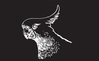 Graphical parrot cockatoo sitting on the branch of the tree isolated on black,vector element of bird.Ink pen parrot