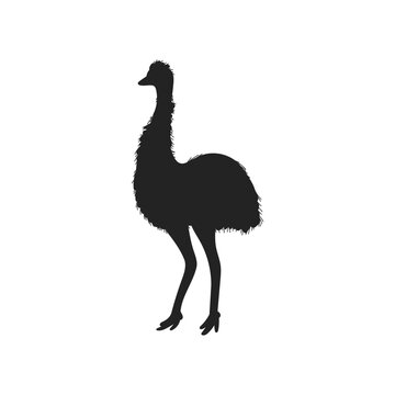 recommend clip art: Emu Australian bird black outline silhouette vector illustration isolated.