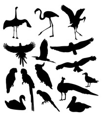 Obraz premium Collection silhouettes birds. Tropical, sea birds and fowls wildlife. Vector illustration. Isolated hand drawings on white background.