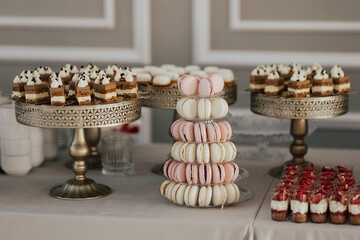 Candy bar for holidays. Reception for guests. Festively met guests with desserts, tarts and cupcakes.	