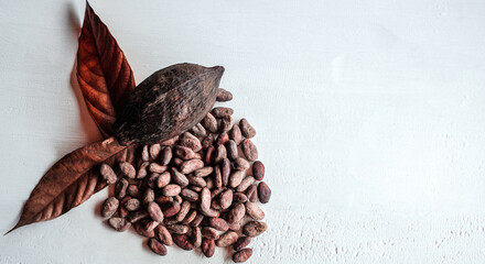 Brown cocoa beans, brown cocoa pods, and dry cacao fruit with leaves on a wooden white background.