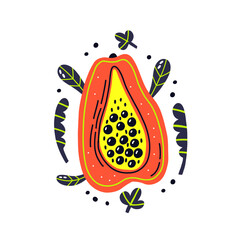 Acid fruit papaya slice with leaves. Hand drawn vector