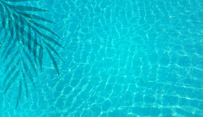 summer holidays swiimming pool water light blue and shadows of palm leaves