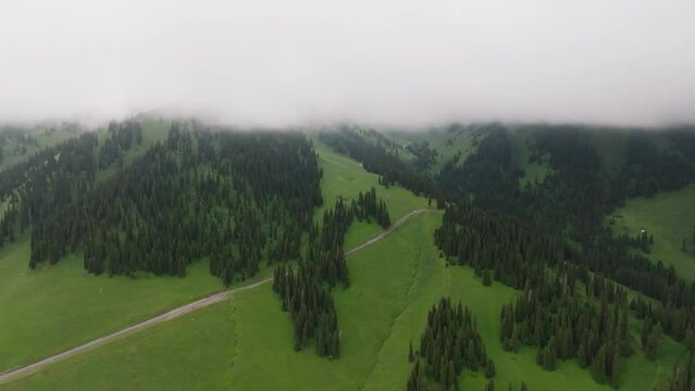 Aerial photography of grassland and forest in foggy weather